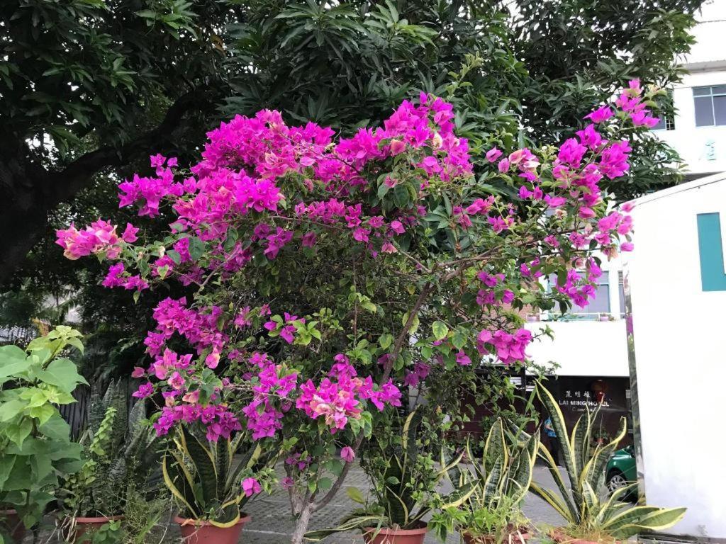 Lai Ming Hotel Cosmoland Singapore Buitenkant foto